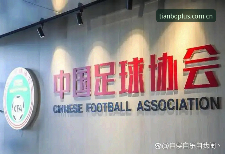 天博苹果下载 中国足协第三批禁足名单公布,足球行业如何自我净化?